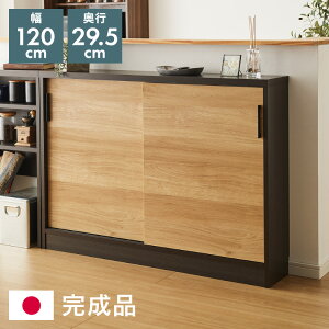 JE^[[ 120cm a_Lrlbg i o s29.5cm [^Cv  Lb`[ rO[ HI RpNg ȃXy[X Lb`JE^[yz