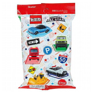 XP[^[ ۃEFbgeBbV ۃV[g AR[z 20 g~J WTS2 Skateryz