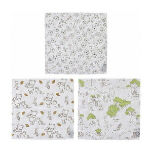 XP[^[ ␶n ӂ ^I 3Zbg ܂̃v[ KFKC3 Skater