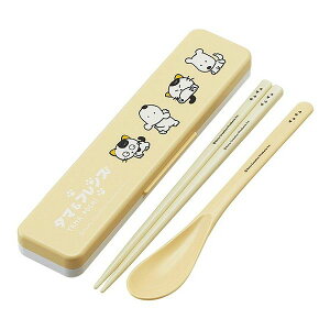 XP[^[ CIR  Xv[ RrZbg J`J`Ȃ ^}&tY LN^[ 킢  qǂ q ` CCS3SAAG Skater