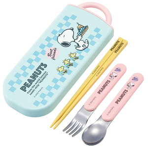 XP[^[ CIR qp gIZbg  Xv[ tH[N SN 80sJtF TACC2AG LN^[ 킢  Skater