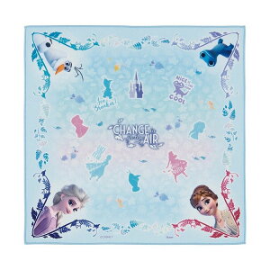 XP[^[  `NX 43cm ٓ   ȒP ֗ AiƐ̏2 KBST43 Skater