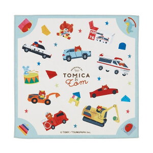 XP[^[  `NX 43cm ٓ   ȒP ֗ g~Jƃg KBST43 Skater