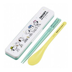 Xk[s[ o[ CI  Xv[ RrZbg J`J`Ȃ CCS3SAAG XP[^[ skater