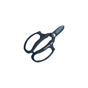 AX AX FP-17-BKƖpԂ͂݃t[ ubNyz