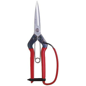 �ߐ� �ߐ� T-710GDX ���t�� ���b�L�n�K�[�h�t BP�y���������z