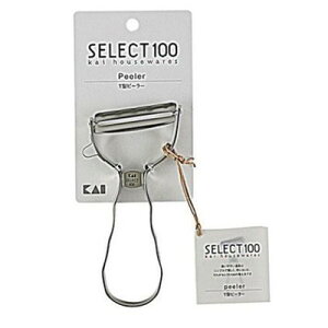 L L ZNg100 T^s[[ #000DH3000(s)