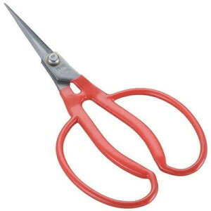 ѐ(zH) zH K-21 XeXԂǂ 175ܓ(s)yz