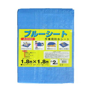 ���^�J���C�N ���^�J BS#20-01 #2000�u���[�V�[�gCP 1.8X1.8(����s��)