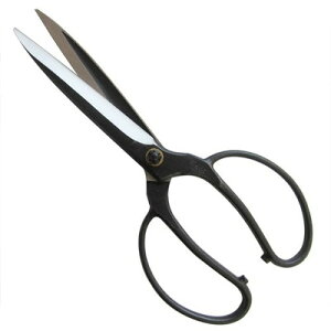 gn A  lW #205(s)yz