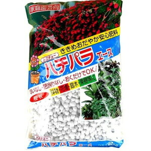 g`[ n`pG[X 2Kg #038621(s)