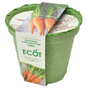 V| V GD-41102 GRbg M ɂ񂶂(s)