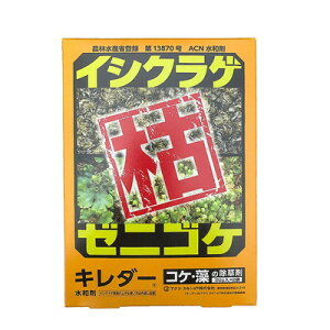 AOJlVE AOJlVE L_- 50g×2(s)yz