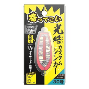 ~J A20281 JX^VJ[ 30 sNz(s)