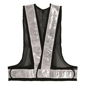 Y Cs 0301-93-F ˈSxXg x F #0301-93-F(s)