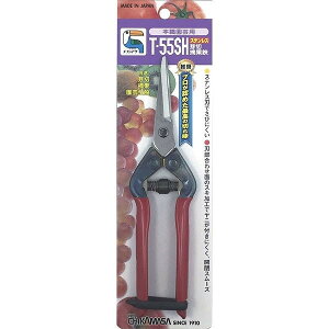 �ߐ� �X�e����؁E�E���� �뒼�n BP T-55SH(����s��)�y���������z