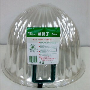 AJTJ cXq3 J[r2{t30x21H 5P(s)