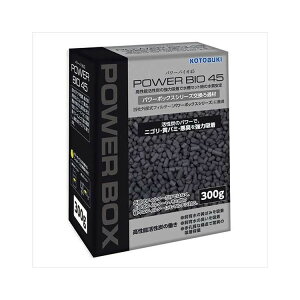 �p���[�o�C�I45(�����Y) ���H�|(����s��)