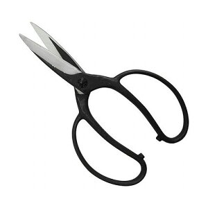 A lW BP  K[fjO |pi p ΂ gn NO.203B(s)yz