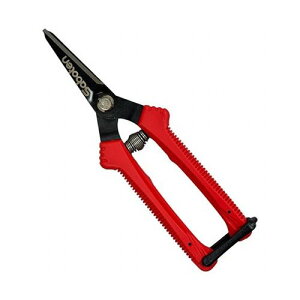    K[fjO |pi p ΂ T{e SD-8(s)