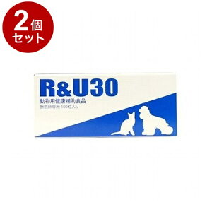 y2Zbgz  R&U30 Lp 100yz