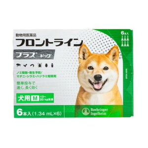 ypiz tgC p M 10`20kg 6{ m~ a _j nW~ 쏜 쏜t p ybgp i ^ ^ tgCvXhbO(s)y[֔z