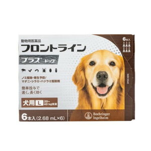 ypiz tgC p L 20`40kg 6{ m~ a _j nW~ 쏜 쏜t p ybgp i ^ ^ tgCvXhbO(s)y[֔z