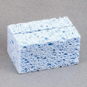 ^W}EnڗpږȁESUM-NWAT HFnEoFn