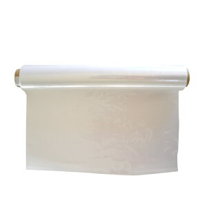 ObgEMktBEHS-2520 ƍHFcSeF̑cSe2