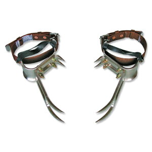 cEؓoEFR-100 [HFیESpiFSсyz