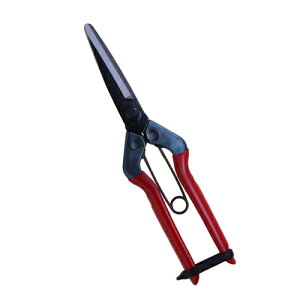 `J}TEET-701 |FF̑1