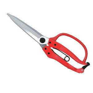 |E̐A؁E~NO.6B؂̙yїtBduCgbLŃTrɋ!K[htŎ܂͂Ă̍Ƃɂ藎܂B̕یĂ܂BK[htBy