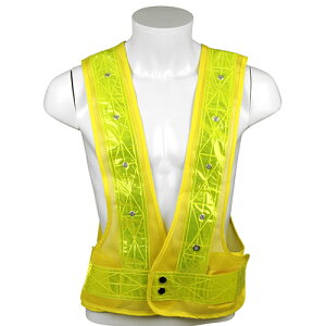 SK11E˃xXg]LEDCgtEnVUC]L [HFیESpiFSpiyz