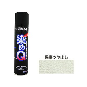 染めQエアゾール 264mL ホゴツヤダシ【送料無料】