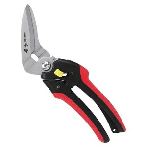 K[f\͂ SGP-53  lH hV[g |pi ؒfyz