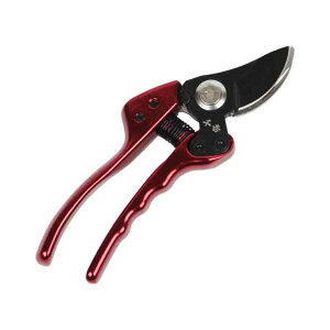 fB[XA~ SGP-33 K[fjO |pi  }؂ ͂݁yz