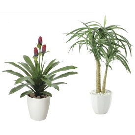 楽天市場 トイレ インテリア 観葉植物 花 観葉植物 花 ガーデン Diyの通販