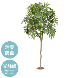 G} CeA O[ xW~ lHϗtA tFCNO[CeA    ItBX rO  ^    rO t(s)y