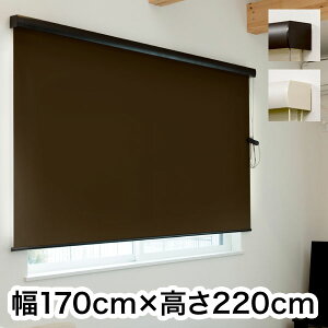 [XN[ Jo[t Ռ 170cm×220cm Vv  k ItBX }V Ԏd؂ [J[e(s)yz