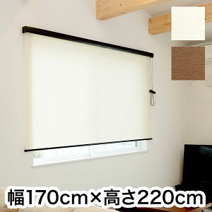 [XN[ Jo[t VR 170cm×220cm Vv  k ItBX }V Ԏd؂ [J[e(s)yz