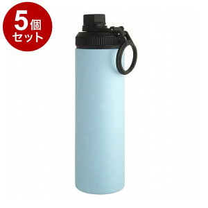 y܂Ƃߔ Pi5Zbgz WELF EFt X}O{g 650mL u[ ЃrOyz