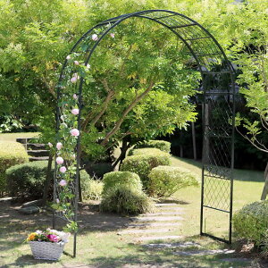 ChACAA[` [bsA K[f K[fjO  t` k 뉀 AeB[N(s)yz