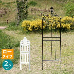 ACAtFX148 [^Cv drape(h[v)2g IF-DR028-2P tFX ACA K[ftFX K[fjO g  d؂ ډB  NVJ AeB[N (s)y