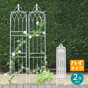 ACAtFX200 nC^Cv drape(h[v)2g IF-DR029-2P tFX ACA K[ftFX K[fjO g  d؂ ډB  NVJ AeB[N(s)yz