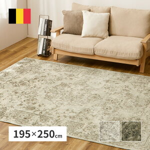 xM[ PbgO 195×250cm AeB[N fUCO PbgD NVJ Be[W g[Ή VbN Vr[ O O}bg J[ybg (s)y