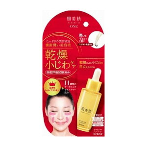 NVGz[v_Nc̔  NPA Zet ϕi(s)