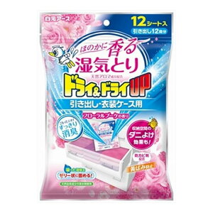 A[X hC&hCUP oEߑP[Xp t[u[P̍ 12(s)