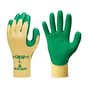 [LOObv \tg LTCYO[ V[O[u(s)