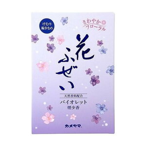 yPi10Zbgz Ԃӂ oCIbg  p^ J}(s)yz