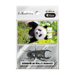 yPi2Zbgz _CC w̐}LIVE ~j|PbgeBV4g(s)y[֔zzyz